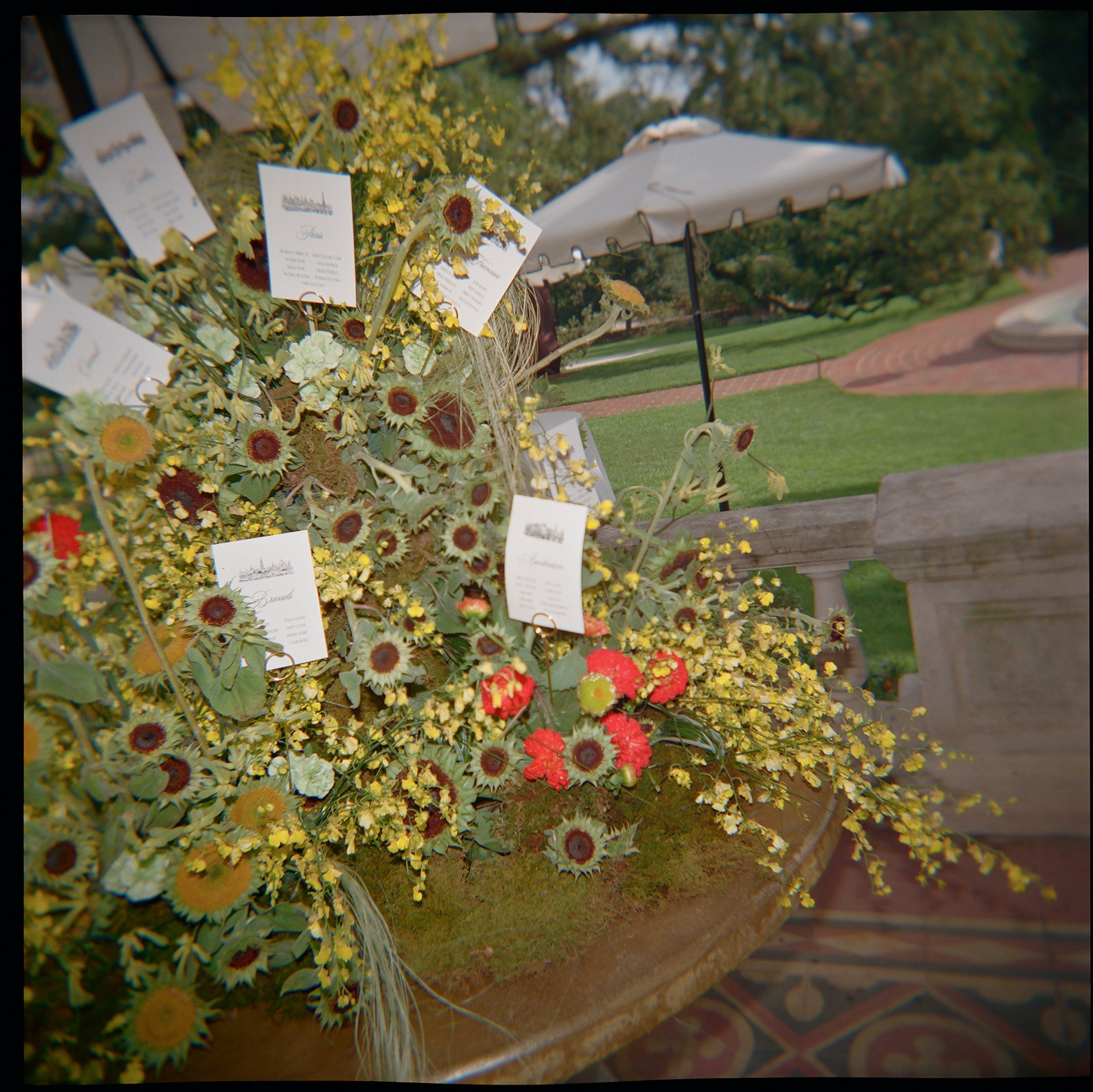 MadisonTimFilmScans58